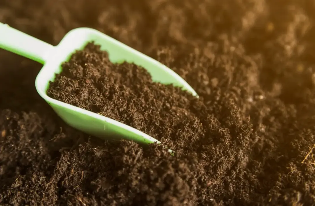 When Should I use Grade B Topsoil
